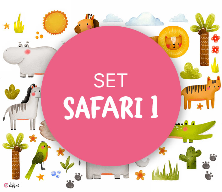 set Safari 1